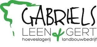 Gabriels LV Logo