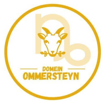 Logo Stichting Ommersteyn
