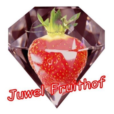 Logo Juwel Fruit