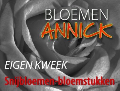 Logo Bloemen Annick