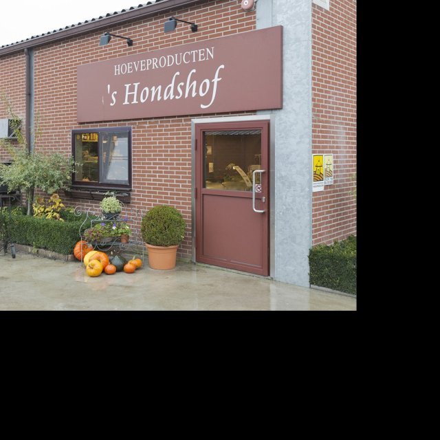 's Hondshof
